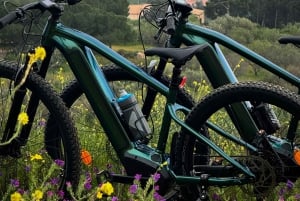 Agrigento Valley of the Temples & Food Experience by E-bike: Taste & Traditions