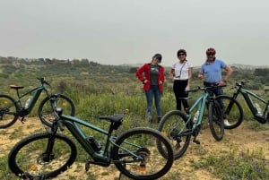 Agrigento Valley of the Temples & Food Experience by E-bike: Taste & Traditions