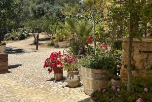 Agrigento Valley of the Temples & Food Experience by E-bike: Taste & Traditions