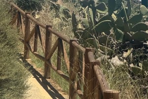 Agrigento Valley of the Temples & Food Experience by E-bike: Taste & Traditions