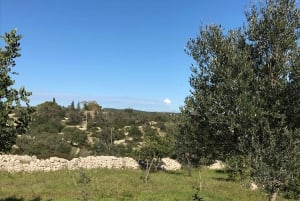 De la Granja al Tenedor en Sicilia sureste - Clase de cocina en una granja