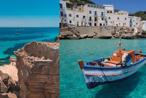 Favignana and Levanzo boat excursion from Trapani