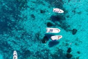 Favignana et l'île de Levanzo : Baignade, plongée en apnée et déjeuner