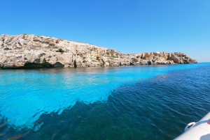 Favignana et l'île de Levanzo : Baignade, plongée en apnée et déjeuner