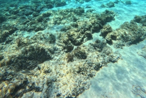 Favignana, wycieczki pontonem z Marsali