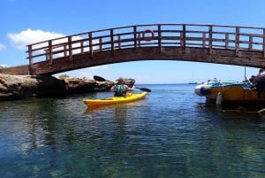 Favignana full-day