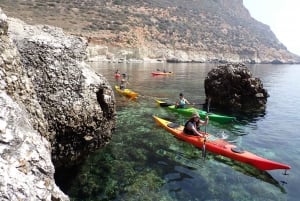 Favignana full-day