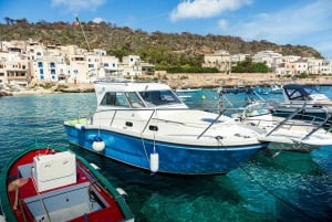 Favignana: gedeelde boottocht met lunch aan boord