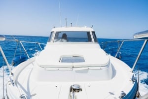 Favignana: gemeinsame Bootstour mit Mittagessen an Bord