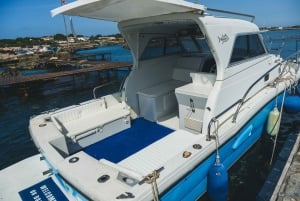 Favignana: gemeinsame Bootstour mit Mittagessen an Bord