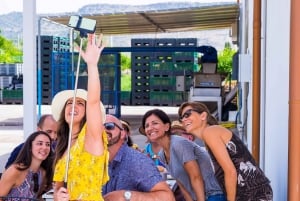 Dégustation d'huile d'olive à Syracuse, Sicile - Evoo Tour