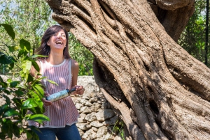 Dégustation d'huile d'olive à Syracuse, Sicile - Evoo Tour