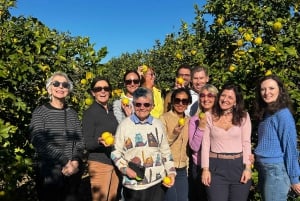 Dégustation d'huile d'olive à Syracuse, Sicile - Evoo Tour