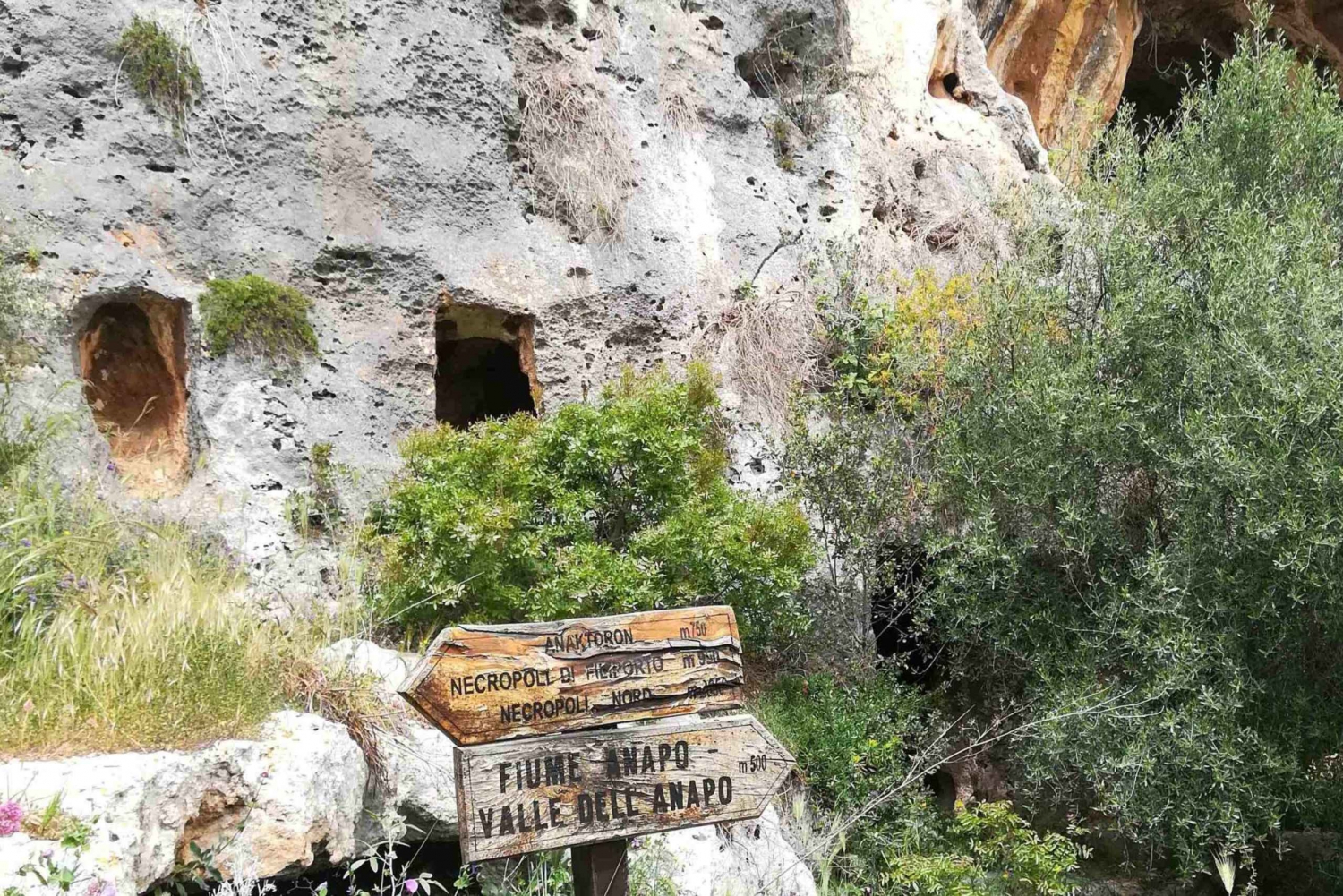 Ferla: Pantalica Naturreservat UNESCO Tour med badestop