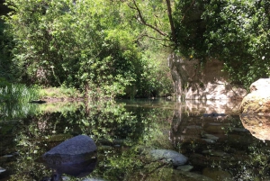 Ferla: Pantalica Nature Reserve UNESCO Tour with Swim Stop