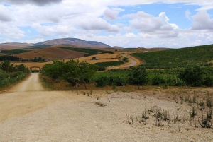 From Castellammare to Scopello: e-bike tour