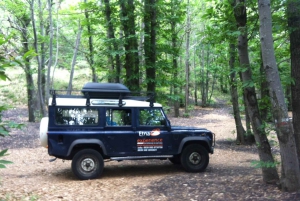 Vanuit Catania: 4x4 Jeep Tour op de Etna met lunch