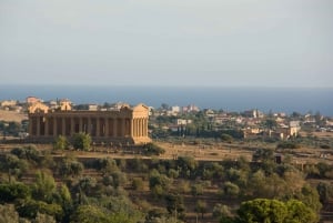 Från Catania: Agrigento och Piazza Armerina dagsutflykt