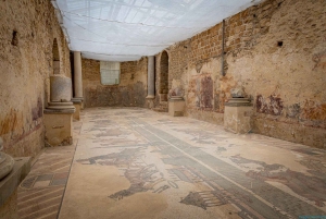 カターニア発：アグリジェント-ピアッツァ・アルメリーナ音声ガイド付きツアー