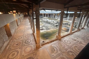 From Catania: Caltagirone & Piazza Armerina Tour with Lunch