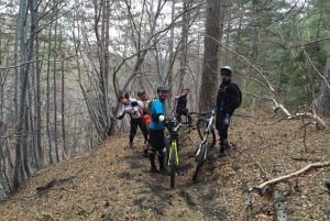 From Catania: Etna Downhill Mountain Biking Experience