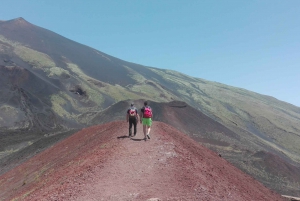 From Catania: Etna Nature and Flavors Half-Day Tour