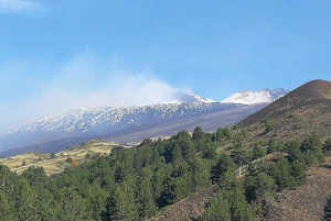 From Catania: Etna & Taormina Day Trip