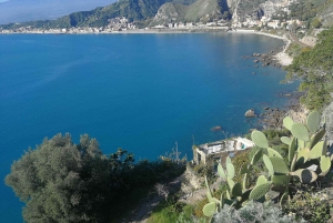 Au départ de Catane : excursion d'une journée à l'Etna et à Taormina