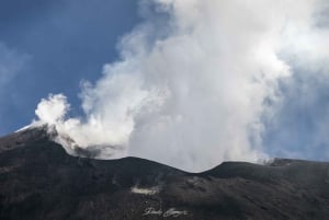 De Catane : Tour de l'Etna à la base des cratères sommitaux