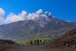 Da Catania: Tour guidato mattutino del vulcano Etna