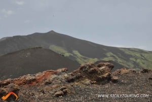 Da Catania: Tour guidato mattutino del vulcano Etna