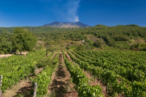 From Catania: Full-Day Etna Wine Tour