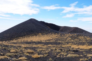 Da Catania: Tour guidato dell'Etna e Taormina