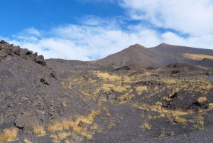 Da Catania: Tour guidato dell'Etna e Taormina