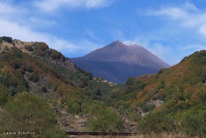 Da Catania: Tour guidato dell'Etna e Taormina