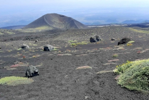 From Catania: Mount Etna Guided Panoramic Trek