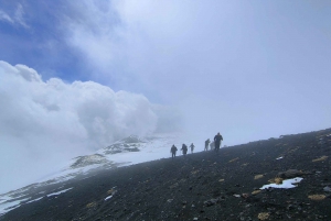 From Catania: Mount Etna Guided Panoramic Trek