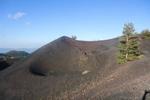 From Catania: Mount Etna Half-Day Tour and Wine Experience