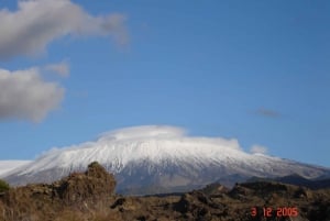 From Catania: Mount Etna Half-Day Tour and Wine Experience