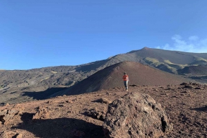 Desde Catania: Excursión matinal al Etna