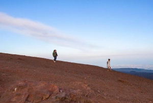 Desde Catania: Excursión matinal al Etna