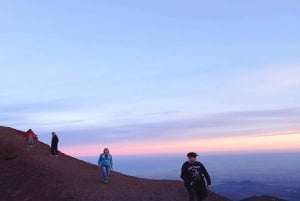 From Catania: Mount Etna Morning Tour