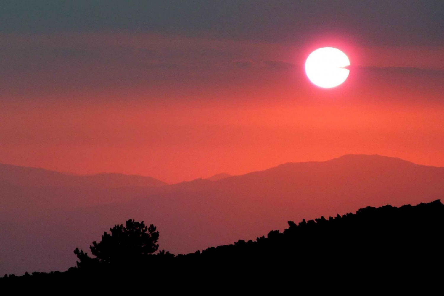 Fra Catania: Etna solnedgangstur