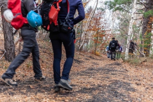 From Catania: Private Mount Etna Trek