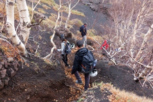From Catania: Private Mount Etna Trek