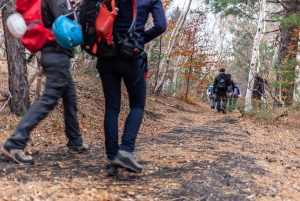 From Catania: Private Mount Etna Trek