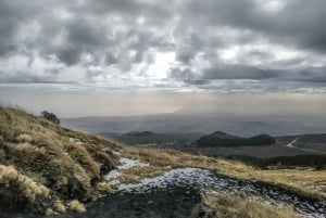From Catania: Mount Etna Trekking Experience