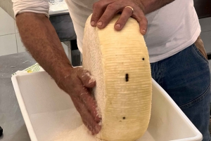 From Catania: Mt.Etna picnic and wine tasting