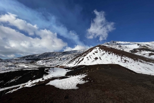From Catania: Mt.Etna picnic and wine tasting