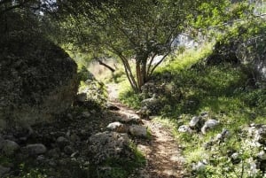 From Catania: Pantalica & Sortino Guided Tour